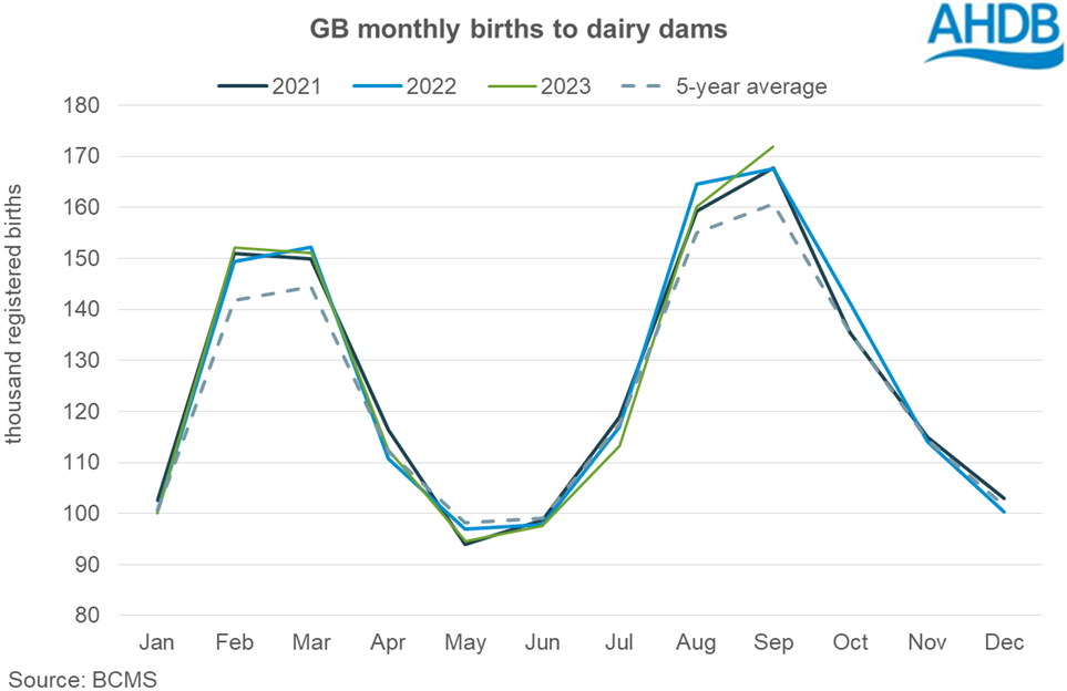 line graph tracking calf registrations to diary dams